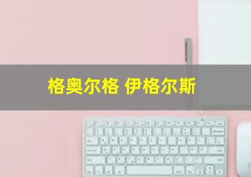 格奥尔格 伊格尔斯